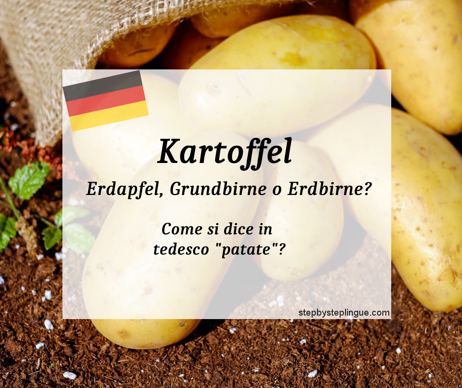 kartoffeln erdäpfel erdbirnen grundbirnen patate tedesco