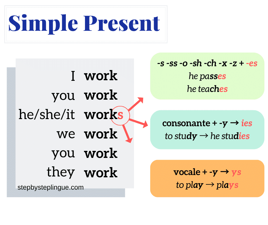 Simple Present - come si forma regola