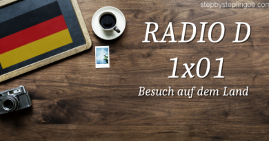 RadioD 1x01 Besuch auf dem Land title