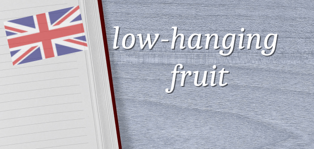 low-hanging fruit significato title