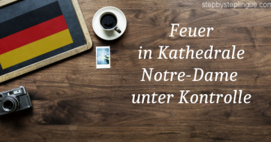 Feuer in Kathedrale Notre-Dame unter Kontrolle title