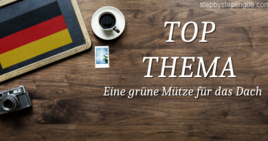 top thema Eine grüne Mütze für das Dach