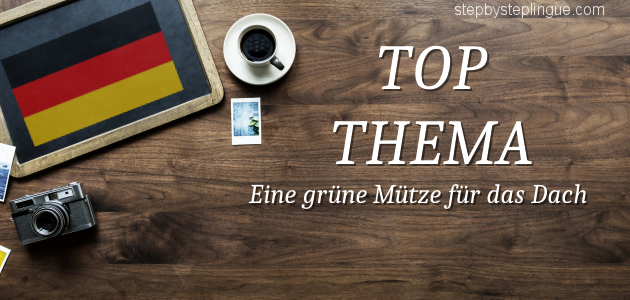 top thema Eine grüne Mütze für das Dach