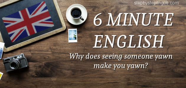 6 minute english seeing someone yawn make you yawn