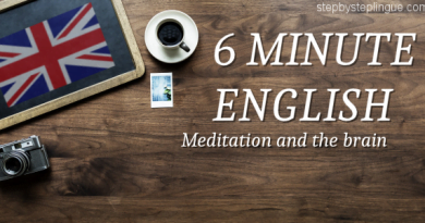6 Minute English Meditation and the brain