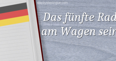 Das fünfte Rad am Wagen sein significato title
