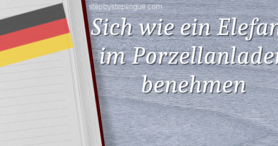 Sich wie ein Elefant im Porzellanladen benehmen