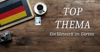 top thema Ein Meteorit im Garten