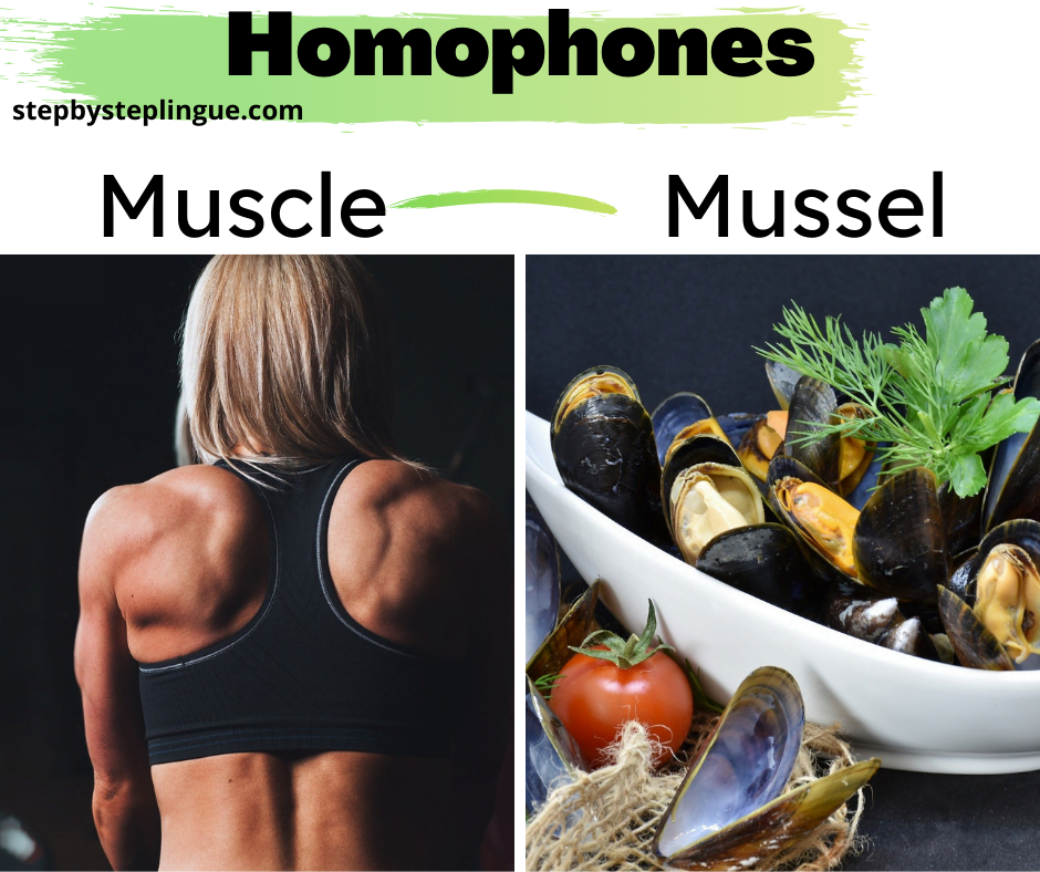 Homophones Muscle Mussel