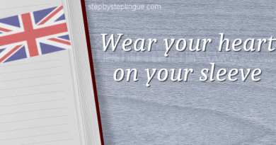 Wear your heart on your sleeve title