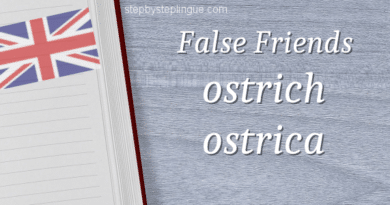 False friends ostrich oyster ostrica title
