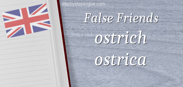 False friends ostrich oyster ostrica title