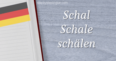 Differenza Schal Schale Schaelen title