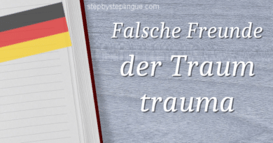 Falsche Freunde der Traum trauma title