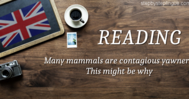 reading Many mammals are contagious yawners title
