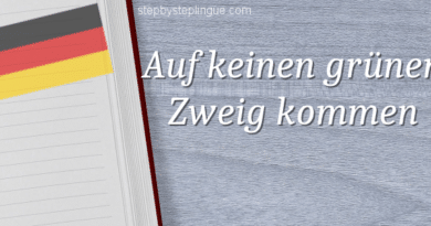 Auf keinen grünen Zweig kommen title