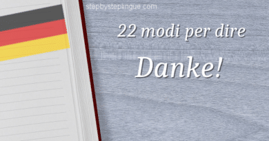 22 modi per dire danke title