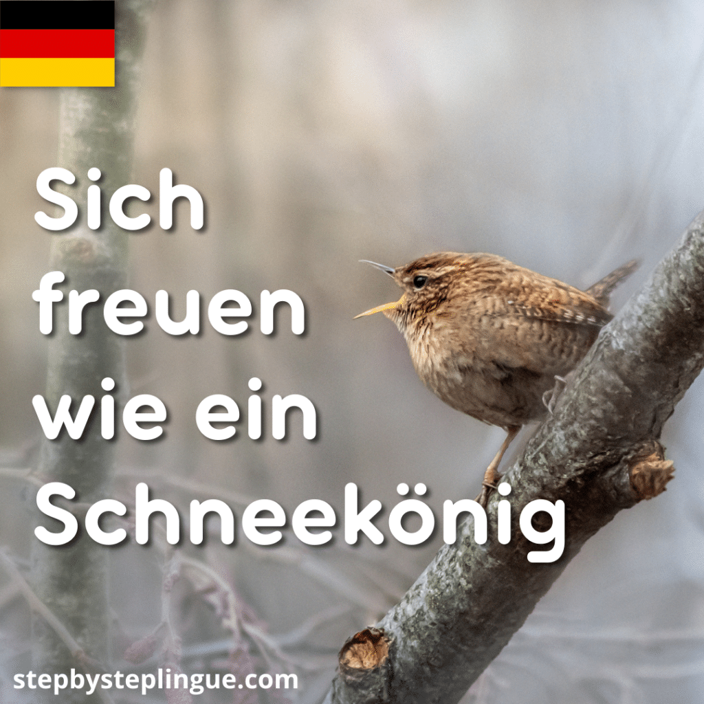 Che cosa significa "Sich freuen wie ein Schneekönig"?