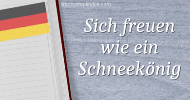 Sich freuen wie ein Schneekönig title