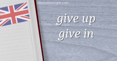 differenza give up e give in title