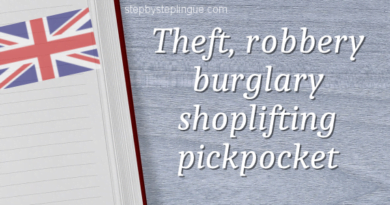 Theft, robbery, burglary, shoplifting e pickpocket title