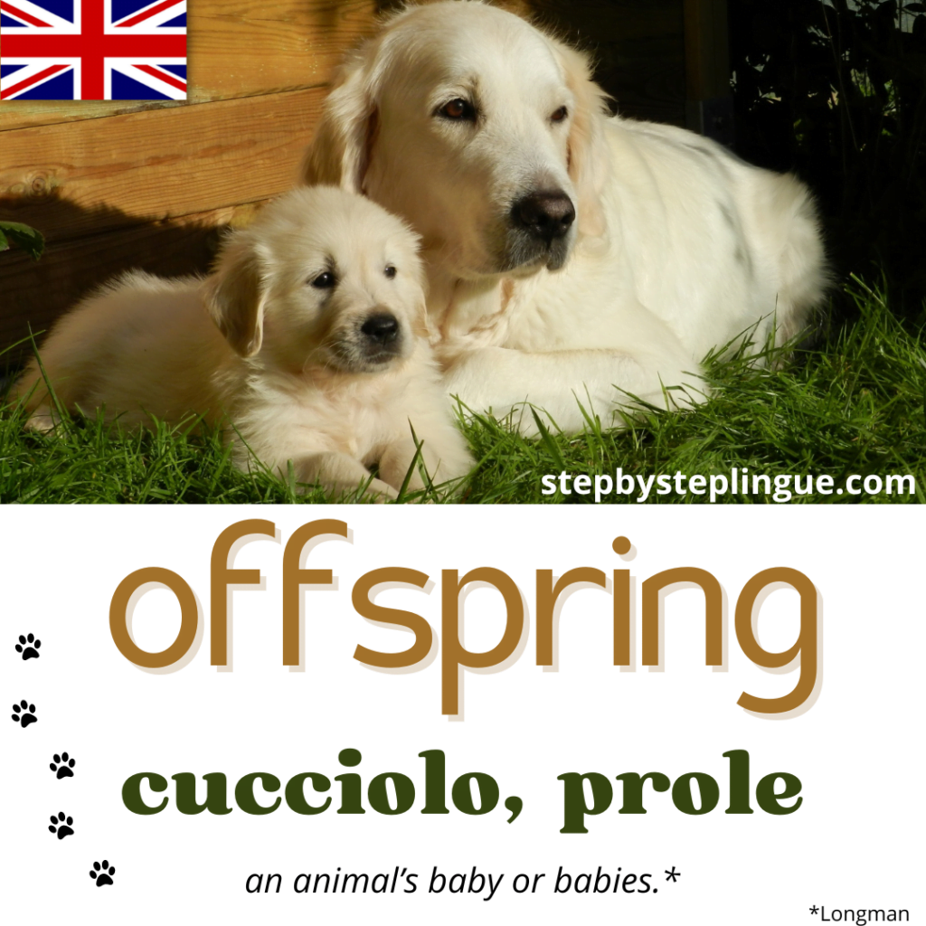 Offspring è una delle parole chiave di questo Step di ascolto in inglese!