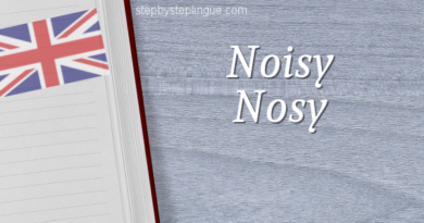 Noisy Nosy differenza inglese title