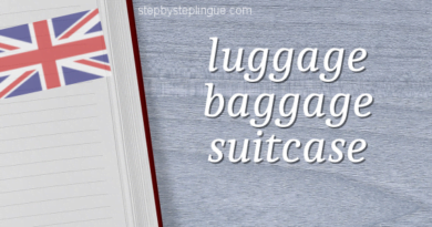 Luggage baggage suitcase differenza inglese title