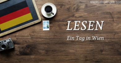Lesen Ein Tag in Wien title