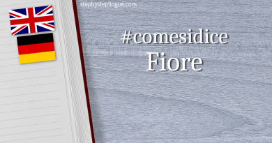 Comesidice - Fiore title