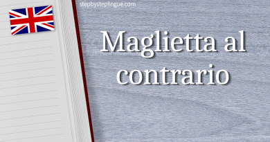 Maglietta al contrario title