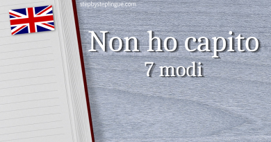 Non ho capito 7 modi inglese title