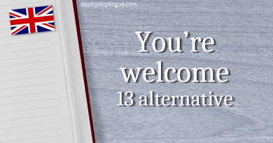 You’re welcome 13 alternative inglese title