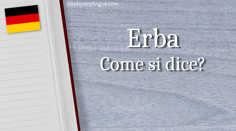Erba Come si dice in tedesco title